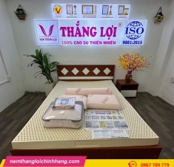 Nệm cao su thiên nhiên Thắng Lợi Titi Double Function