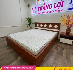 Nệm nhân tạo gấm nhung Thắng Lợi
