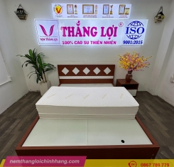 Nệm cao su non cao cấp Thắng Lợi gấp 3