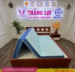 Nệm điều hòa Thắng Lợi Vitamin Cool gấp 3