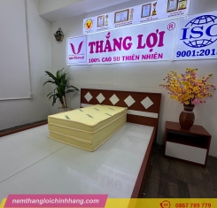 Nệm cao su non Thắng Lợi gấp 3
