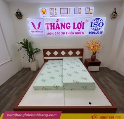 Nệm cao su thiên nhiên Super Win Thắng Lợi gấp 3