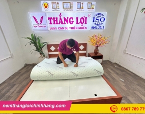 NỆM CAO SU NON