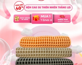 NỆM CAO SU THIÊN NHIÊN