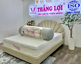 NỆM LÒ XO